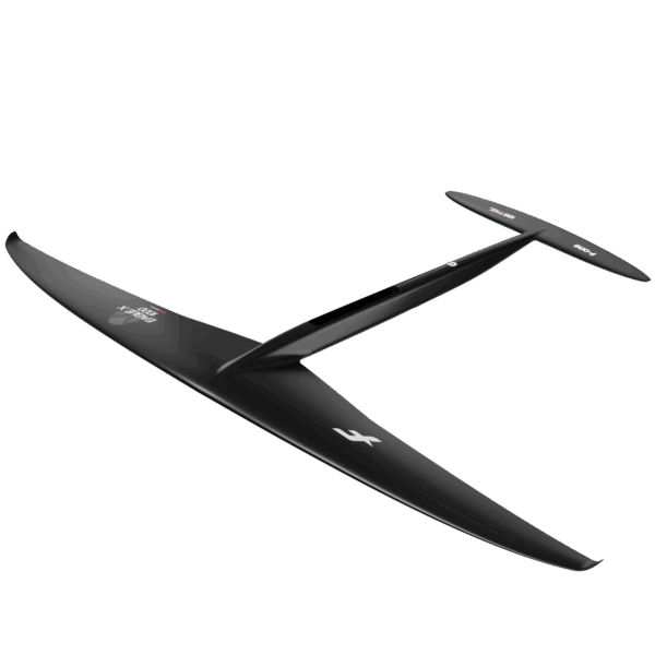 PLANE EAGLE X 1000